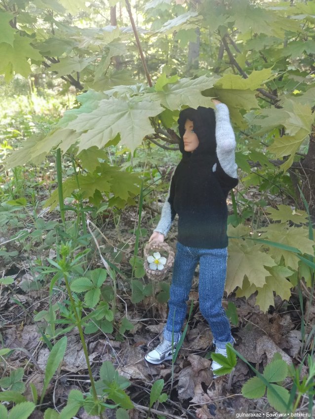 В майский лес за грибами — Туризм и путешествия: фотоотчеты из поездок