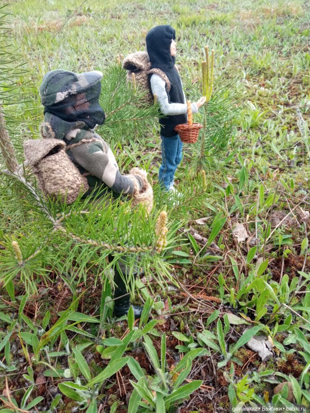 В майский лес за грибами — Туризм и путешествия: фотоотчеты из поездок (фото 3)