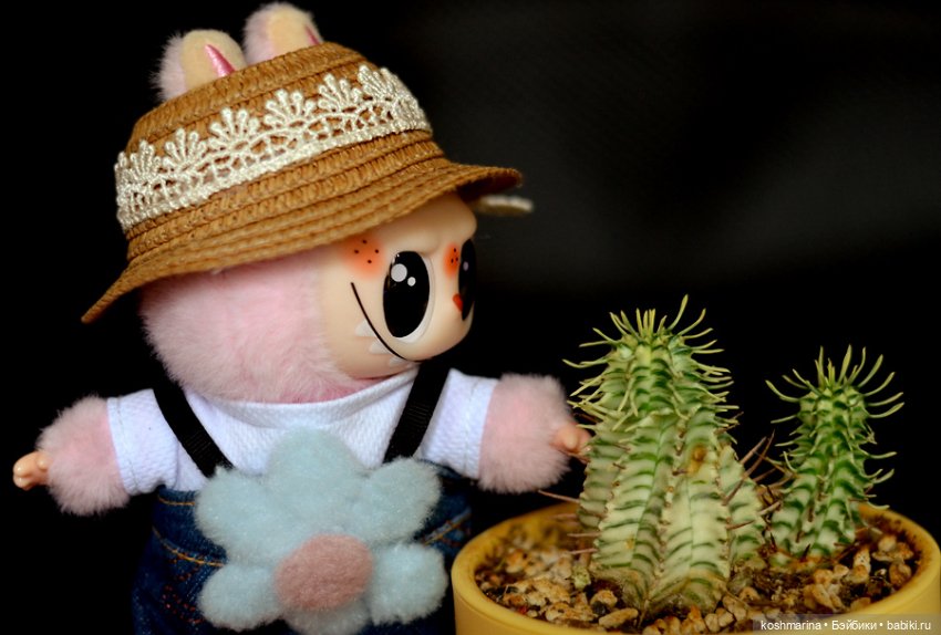 Китайская чебурашка :) — Игрушки Labubu (Лабубу) и The Monsters: Pop Mart (фото 6)