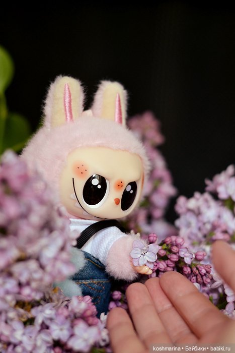 Китайская чебурашка :) — Игрушки Labubu (Лабубу) и The Monsters: Pop Mart (фото 5)