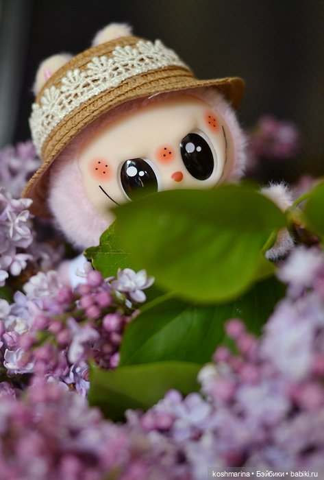 Китайская чебурашка :) — Игрушки Labubu (Лабубу) и The Monsters: Pop Mart (фото 2)