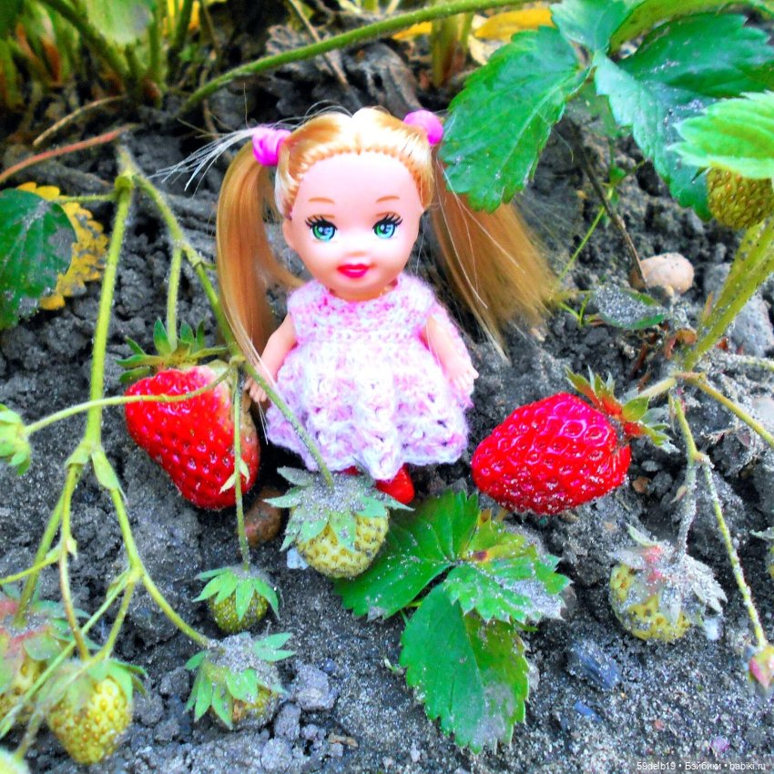 Зреет на даче клубника — Куклы Paola Reina (Паола Рейна): новинки