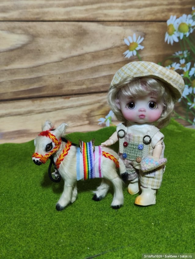 Деткам ослика купили — Куклы и тела Obitsu 11 (Ob11): гибриды (фото 8)