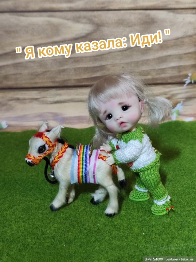 Деткам ослика купили — Куклы и тела Obitsu 11 (Ob11): гибриды (фото 7)