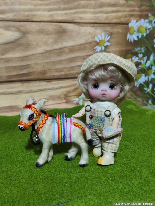 Деткам ослика купили — Куклы и тела Obitsu 11 (Ob11): гибриды (фото 10)
