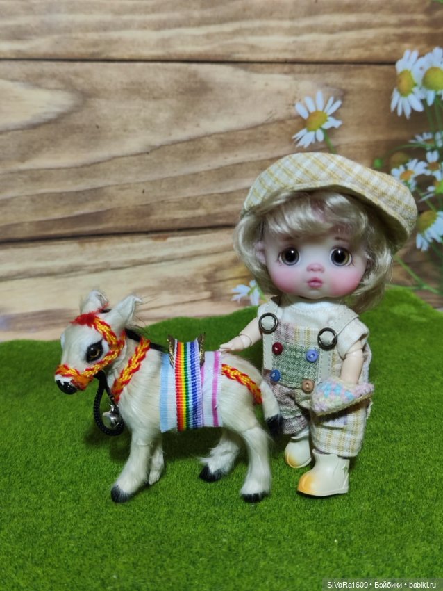 Деткам ослика купили — Куклы и тела Obitsu 11 (Ob11): гибриды (фото 4)