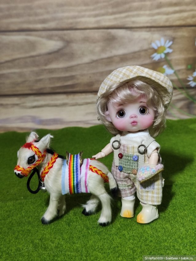 Деткам ослика купили — Куклы и тела Obitsu 11 (Ob11): гибриды (фото 3)