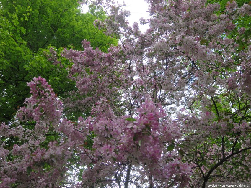 У музея Есенина в Москве — Культура