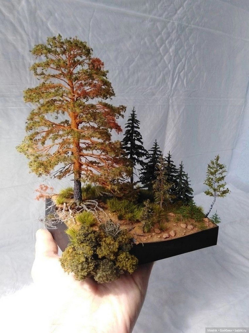 Природа от Андрей Кузьминых (фото 6)