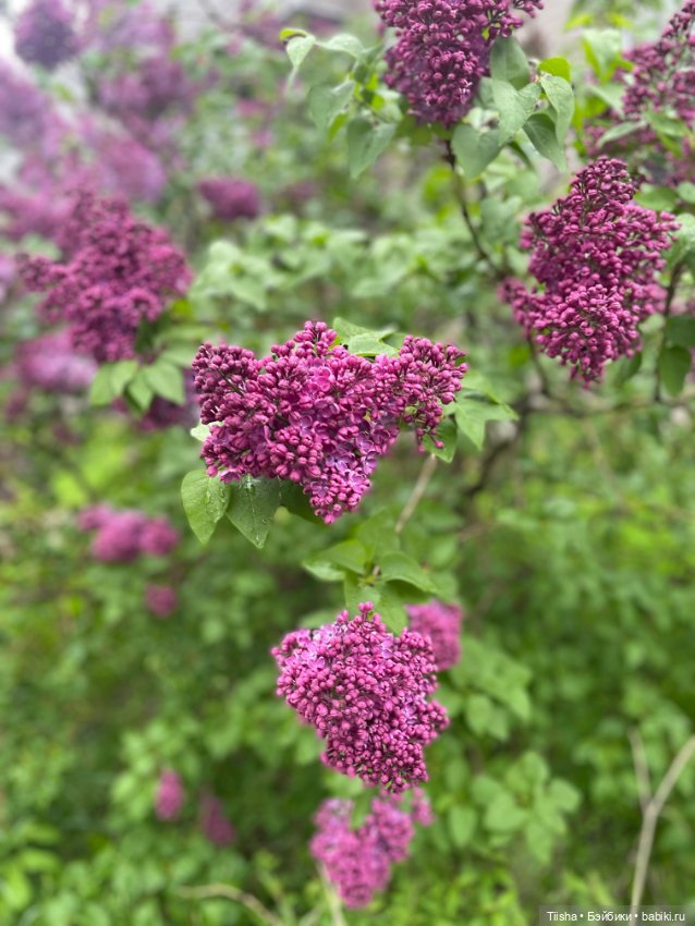 Good and strange — Текстильные игрушки и примитивы: кофейные