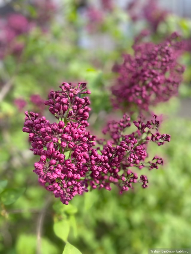 Good and strange — Текстильные игрушки и примитивы: кофейные