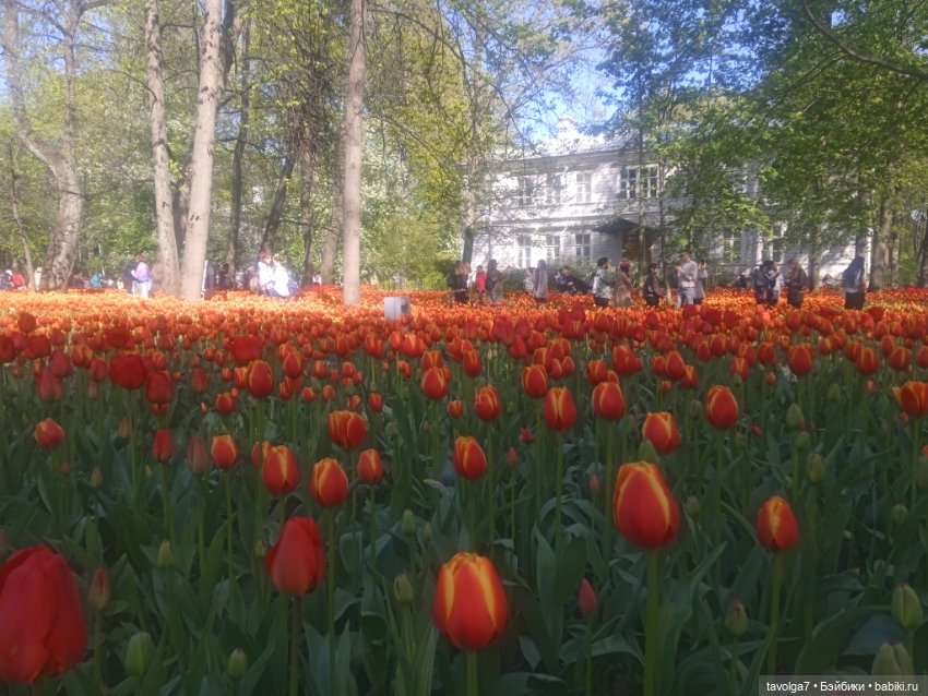 Петербург, Кронштадт 20 мая 2025