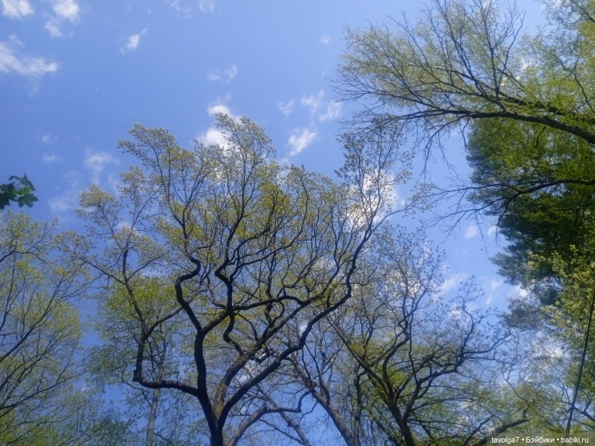 Петербург, Кронштадт 20 мая 2025