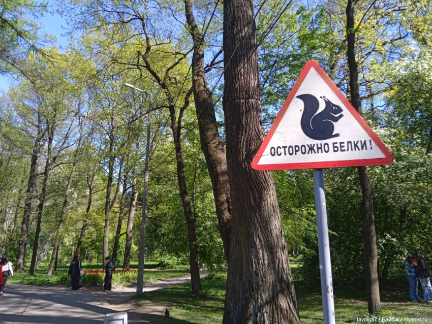 Петербург, Кронштадт 20 мая 2025