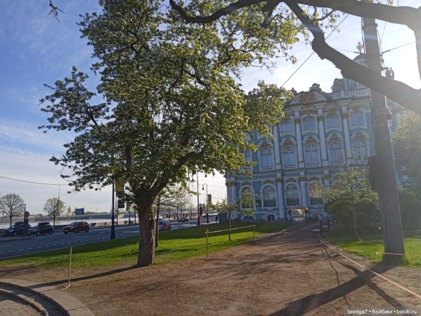 Петербург, Кронштадт 20 мая 2025 (фото 2)