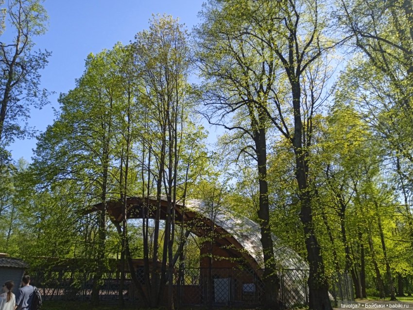 Петербург, Кронштадт 20 мая 2025