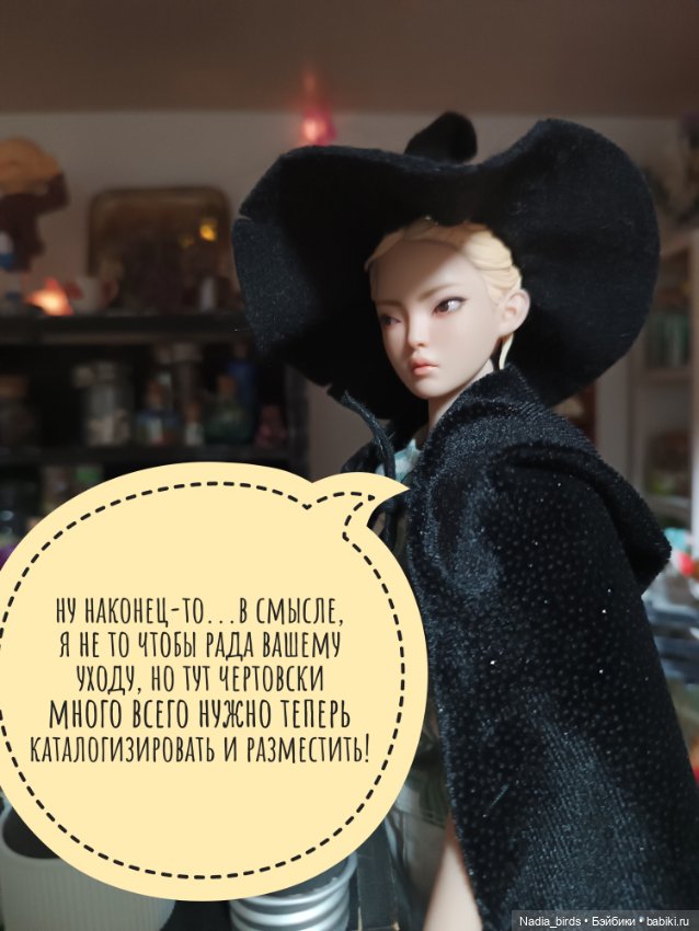 Ведьмолавка. Крупный грибной опт