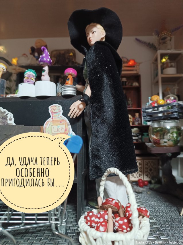 Ведьмолавка. Крупный грибной опт