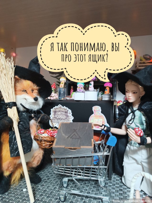 Ведьмолавка. Крупный грибной опт