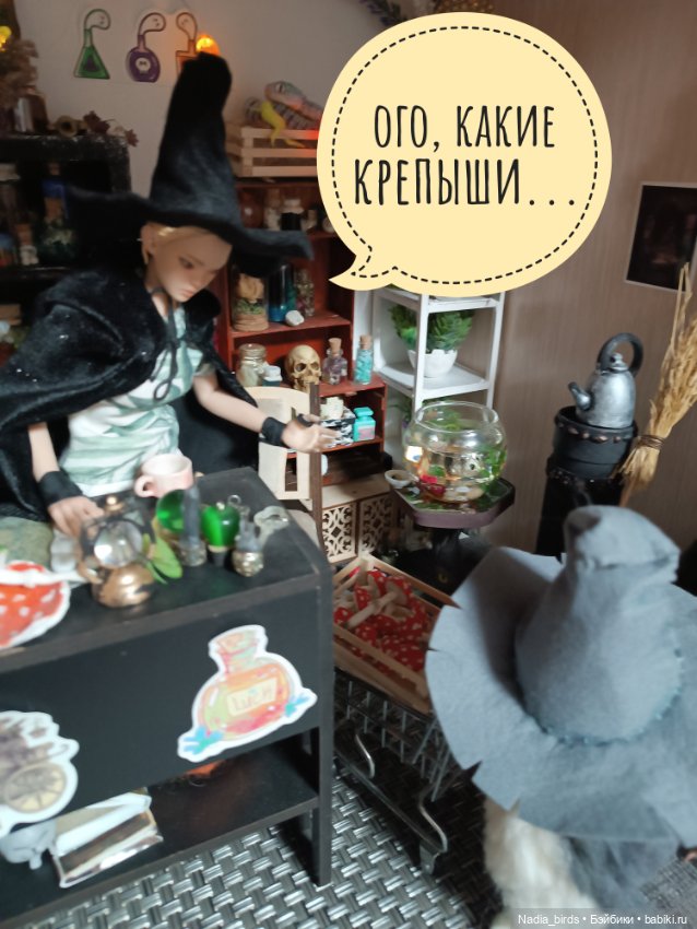 Ведьмолавка. Крупный грибной опт