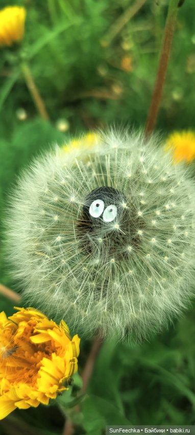 Маленький D! (Ди) — Игровые куклы разных производителей (Разное): редкие бренды