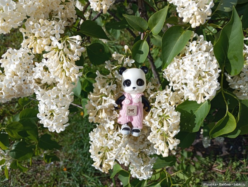 Весеннее: Панда Лёля, цветочки и пчёлки