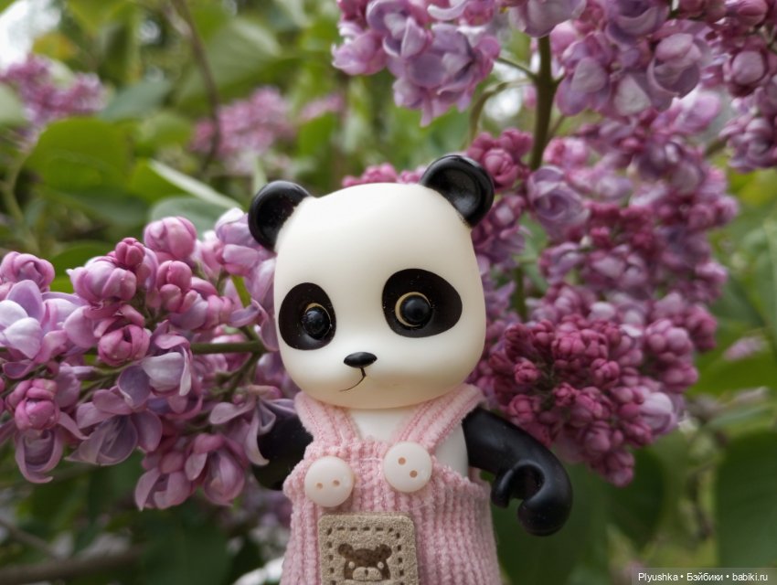 Весеннее: Панда Лёля, цветочки и пчёлки