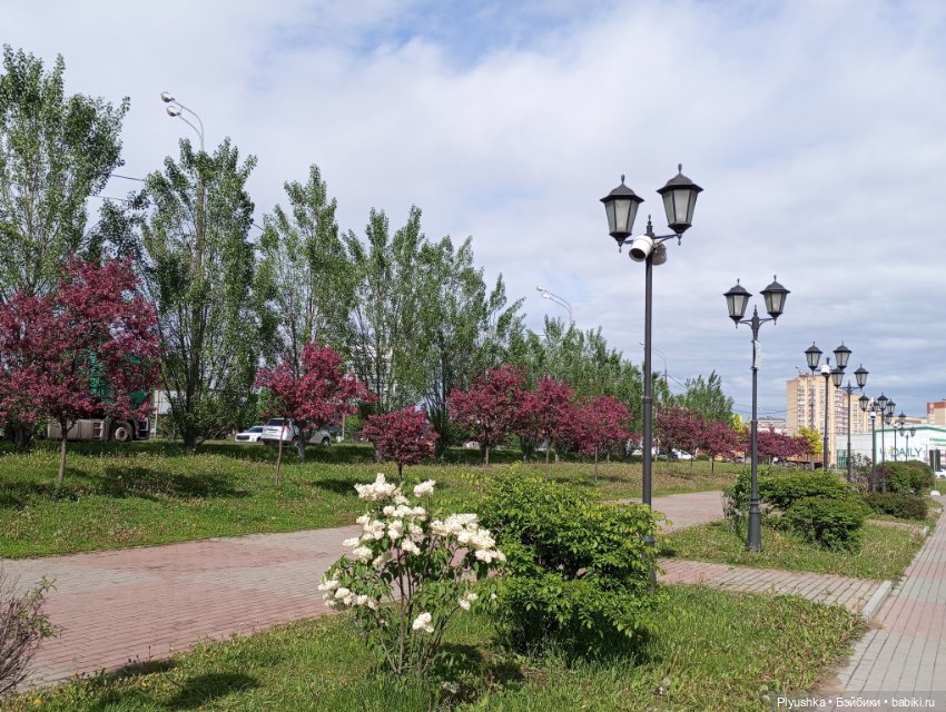 Весеннее: Панда Лёля, цветочки и пчёлки (фото 9)