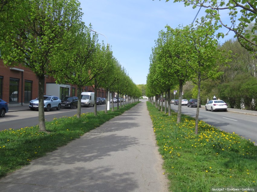 SeaSters Лейла в Петербурге и Кронштадте