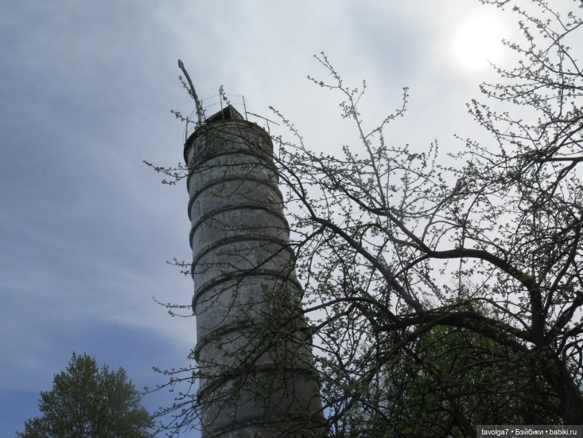 SeaSters Лейла в Петербурге и Кронштадте (фото 4)