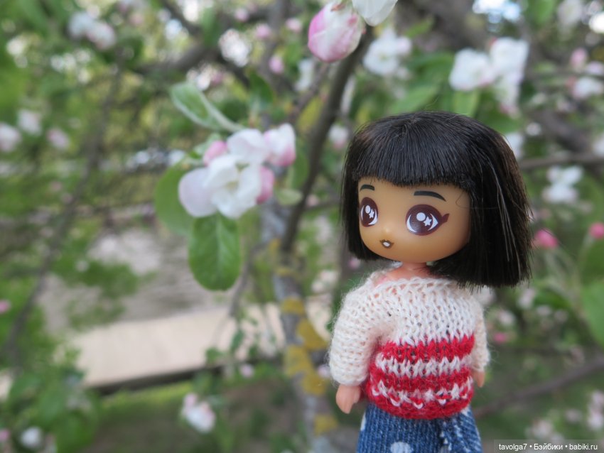 SeaSters Лейла в Петербурге и Кронштадте