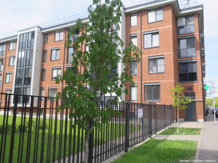 SeaSters Лейла в Петербурге и Кронштадте (фото 8)