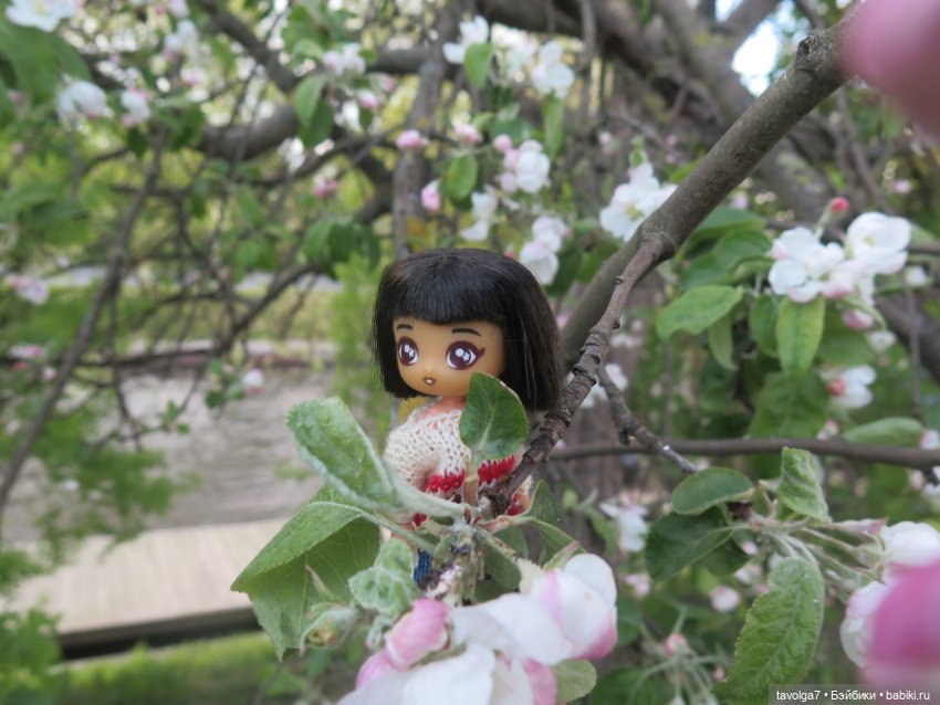 SeaSters Лейла в Петербурге и Кронштадте