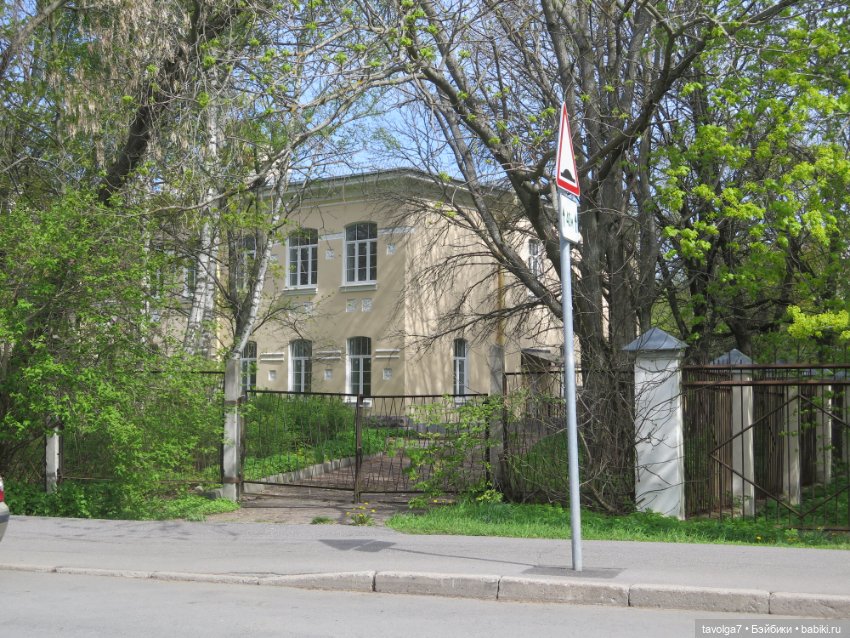 SeaSters Лейла в Петербурге и Кронштадте