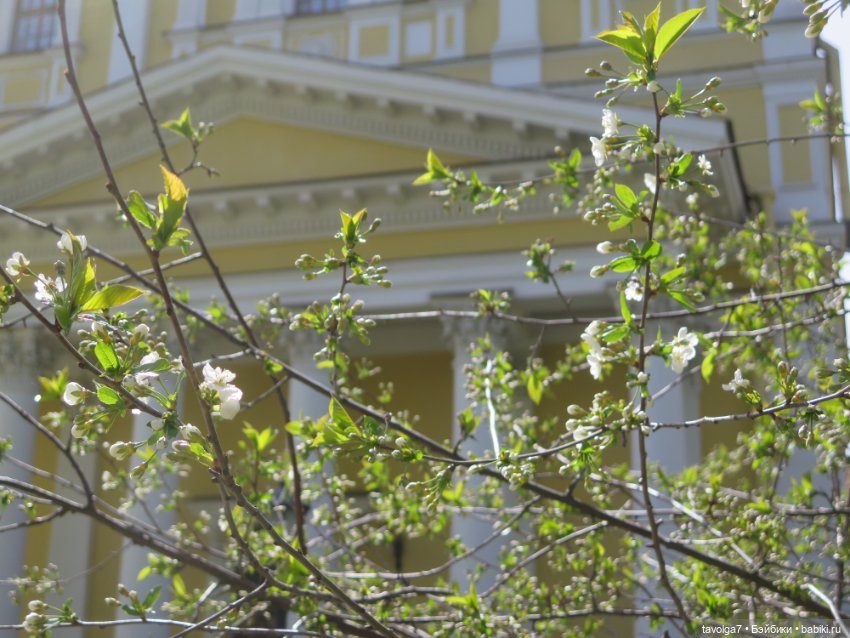 SeaSters Лейла в Петербурге и Кронштадте