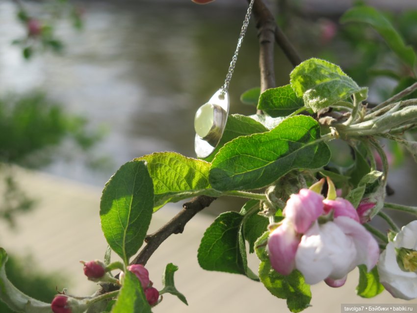SeaSters Лейла в Петербурге и Кронштадте