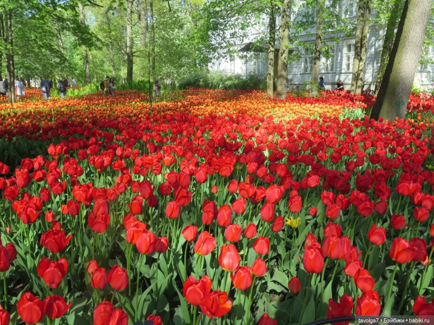 Лейла - великолепная Bratz (фото 6)