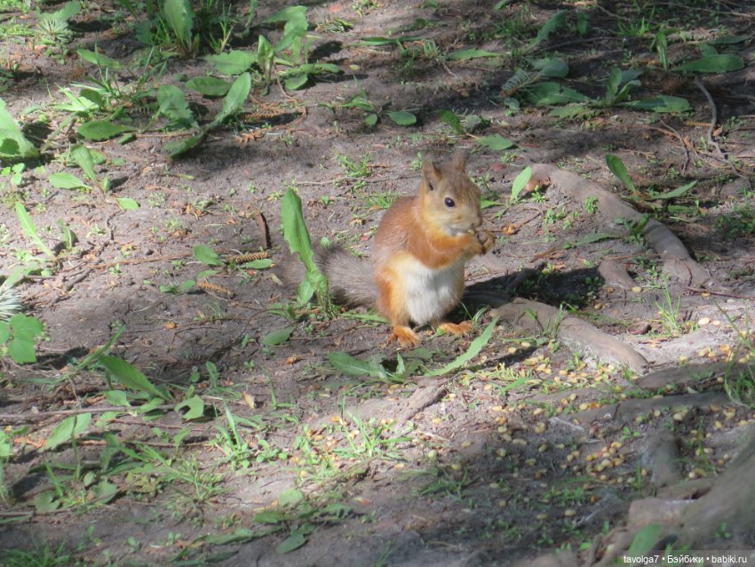 Лейла - великолепная Bratz