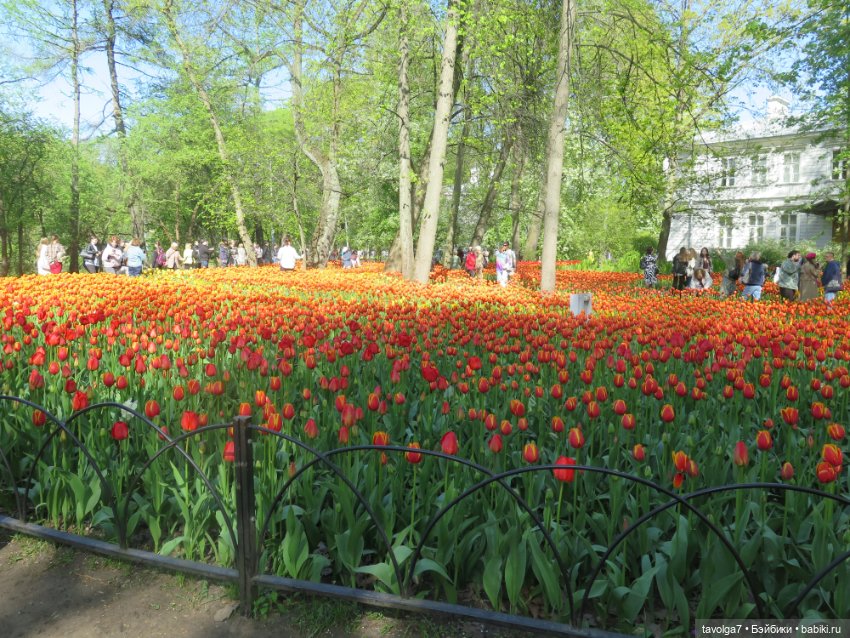 Лейла - великолепная Bratz (фото 7)