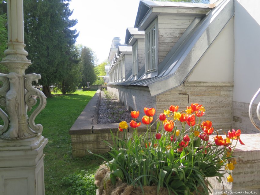 Лейла - великолепная Bratz