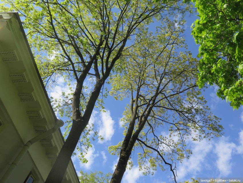 Лейла - великолепная Bratz