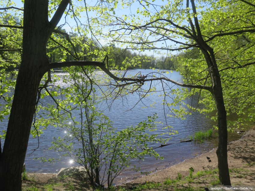 Лейла - великолепная Bratz (фото 4)