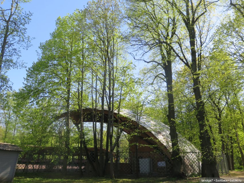 Лейла - великолепная Bratz (фото 5)