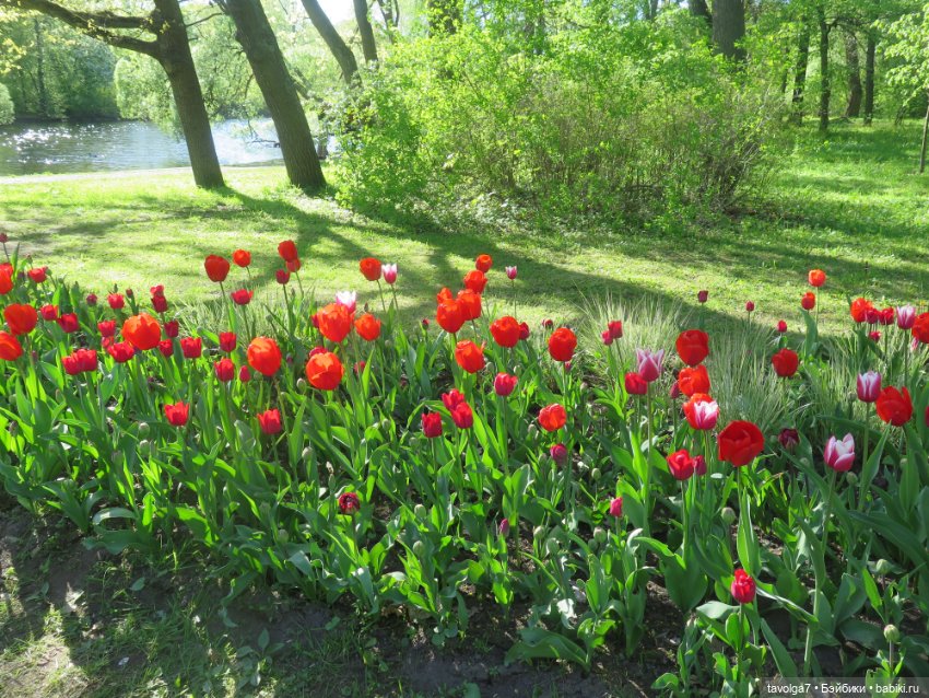 Лейла - великолепная Bratz