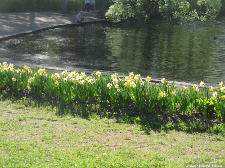 Лейла - великолепная Bratz