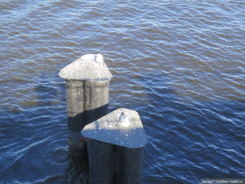 Лейла - великолепная Bratz