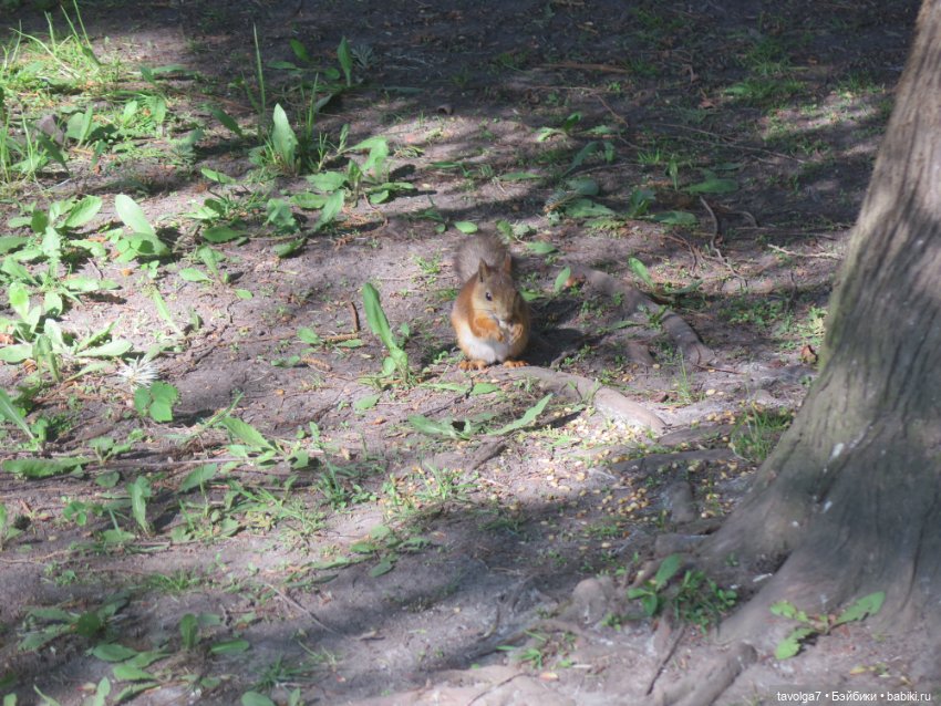 Лейла - великолепная Bratz