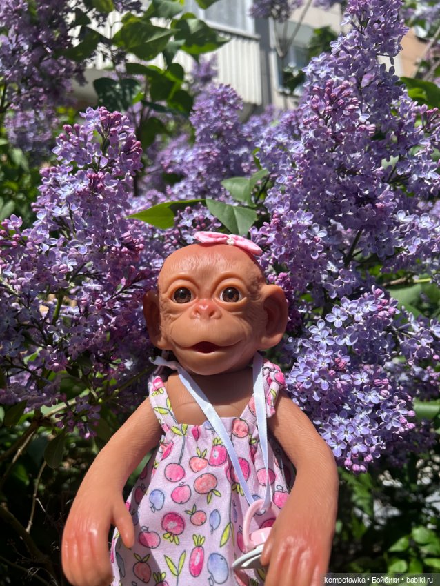 Как обезьянка Маня на площадке гуляла (фото 3)