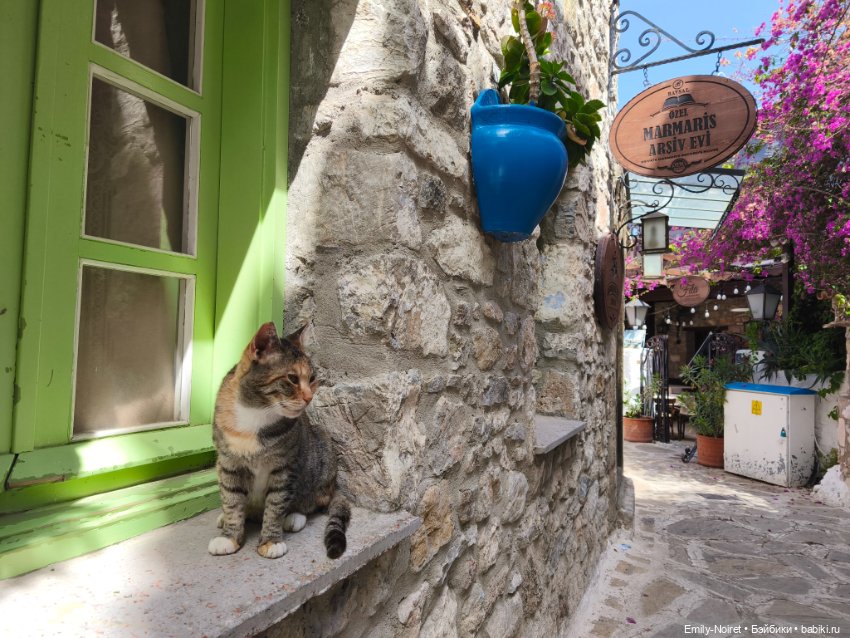 Мур-мурис (часть 3) — Туризм и путешествия: фотоотчеты из поездок