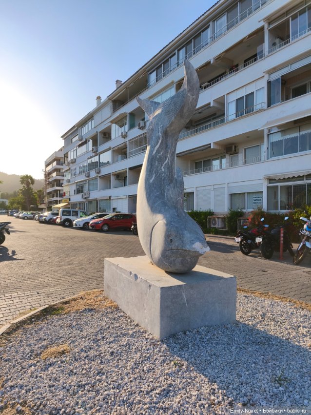 Мур-мурис (часть 1) — Туризм и путешествия: фотоотчеты из поездок